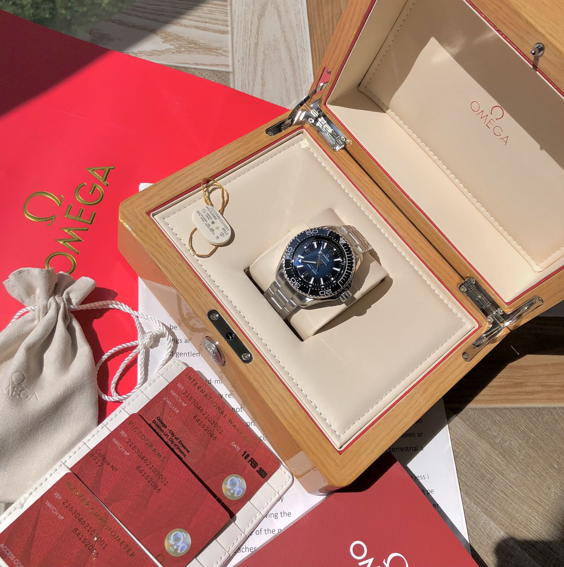Omega Seamaster Planet Ocean — Omega